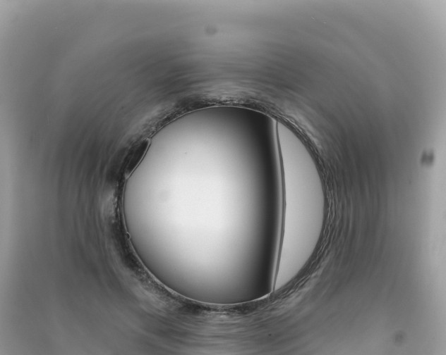 X0000091310597200708101110