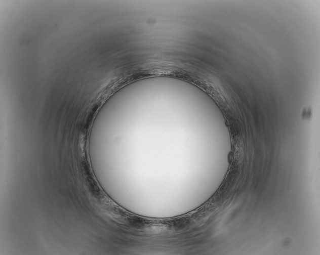X0000091310598200708101110