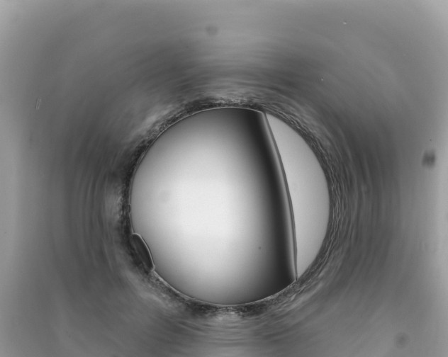 X0000091310600200708101110