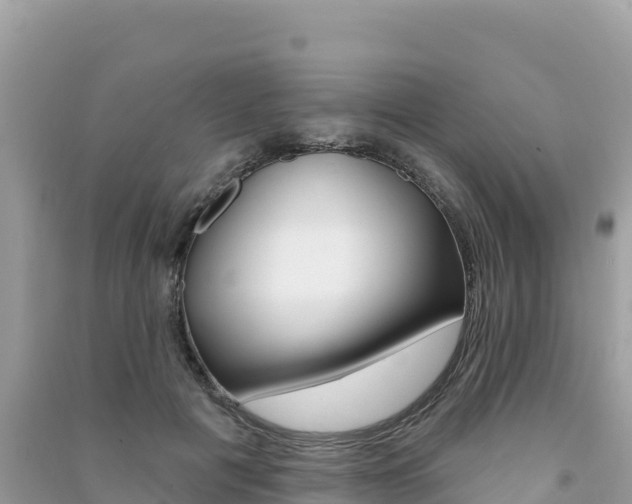 X0000091310601200708101110