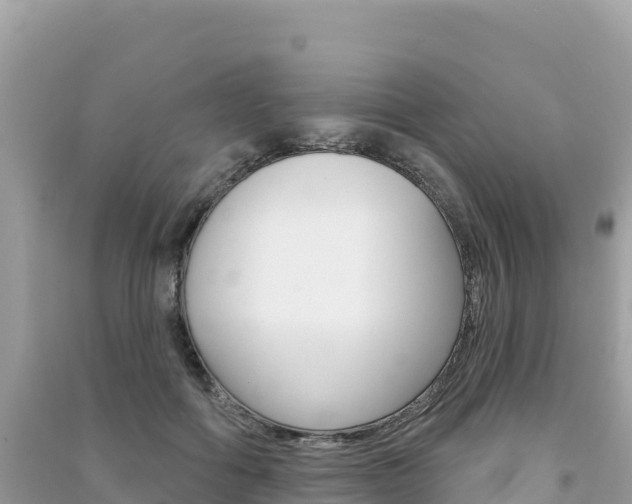 X0000091310602200708101110