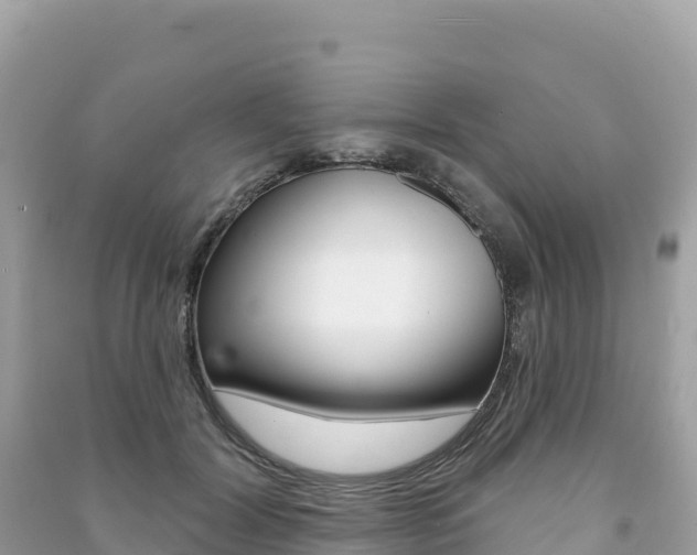 X0000091310604200708101110