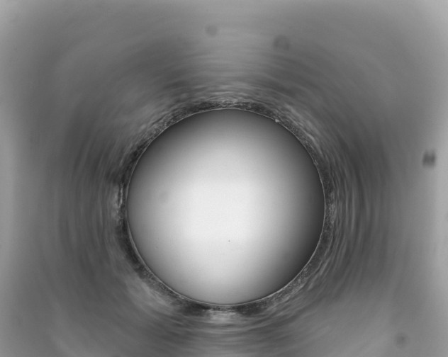 X0000091310605200708101110