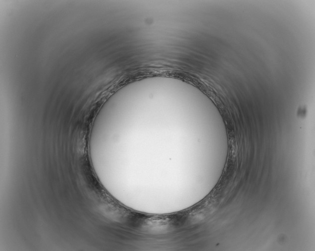 X0000091310606200708101110