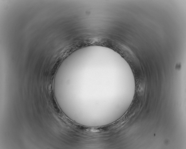 X0000091310607200708101110