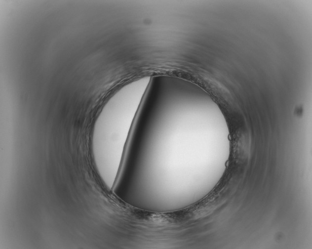 X0000091310608200708101110