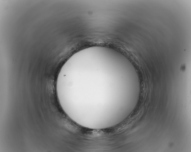 X0000091310612200708101110