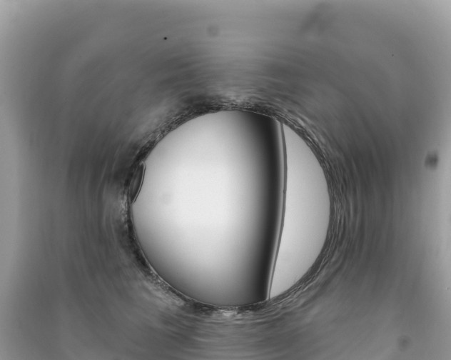X0000091310613200708101110