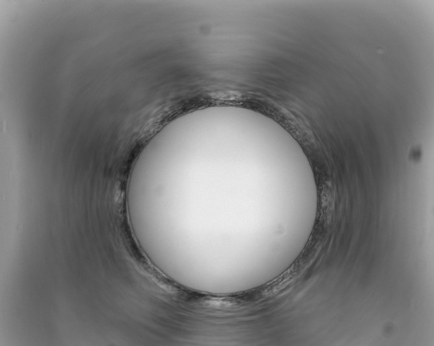 X0000091310614200708101110