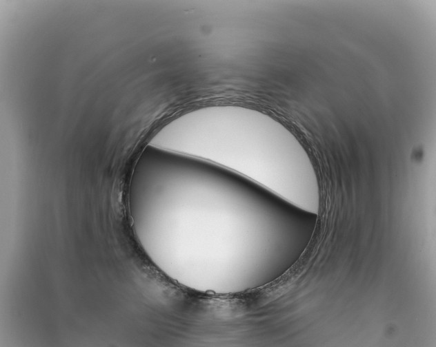 X0000091310615200708101110