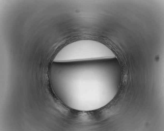 X0000091310616200708101110