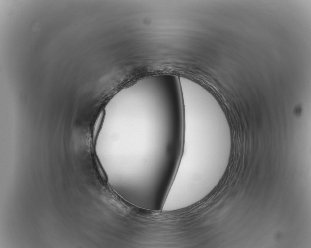 X0000091310617200708101110