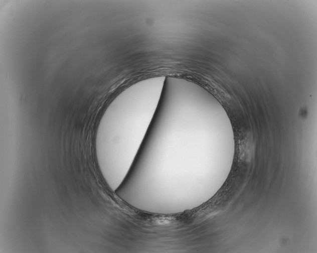 X0000091310618200708101110