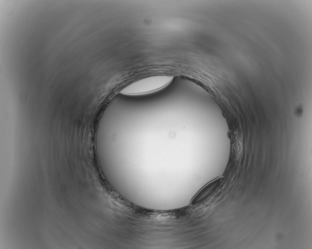 X0000091310619200708101110