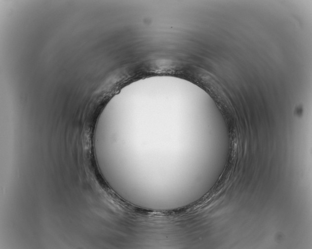 X0000091310620200708101110