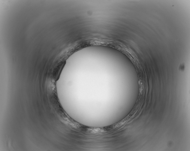 X0000091310621200708101110