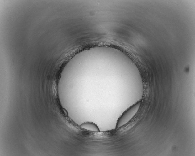 X0000091310622200708101110