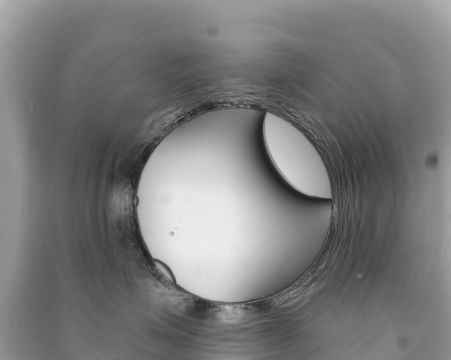 X0000091310623200708101110