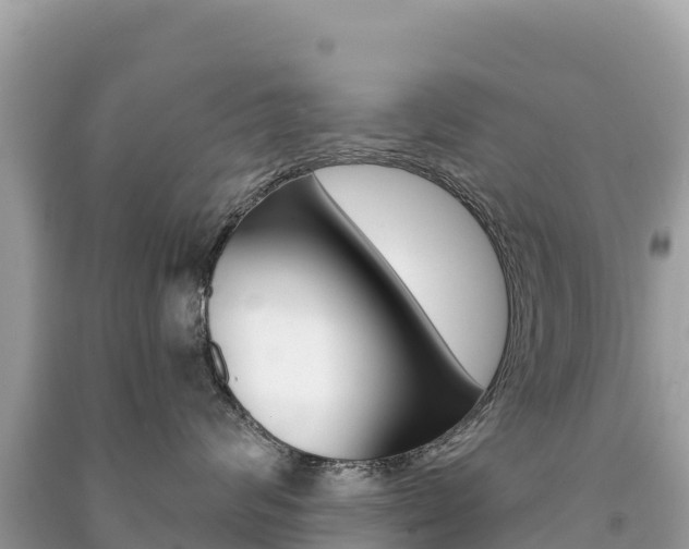 X0000091310624200708101110