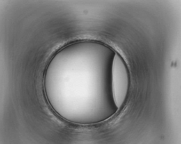 X0000091310625200708101109