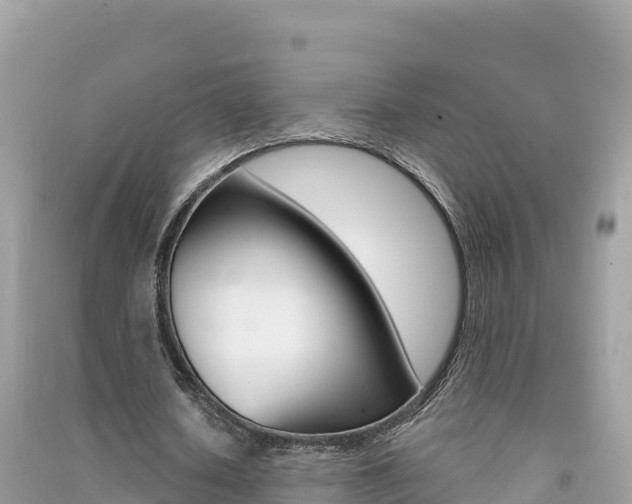 X0000091310626200708101109
