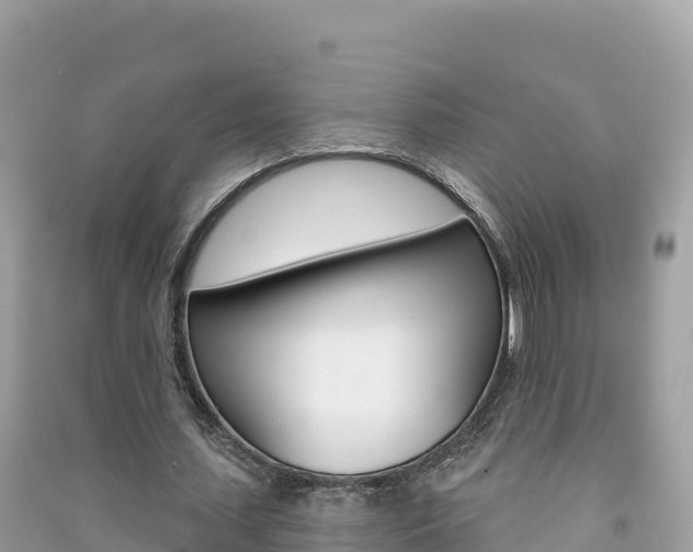 X0000091310627200708101109
