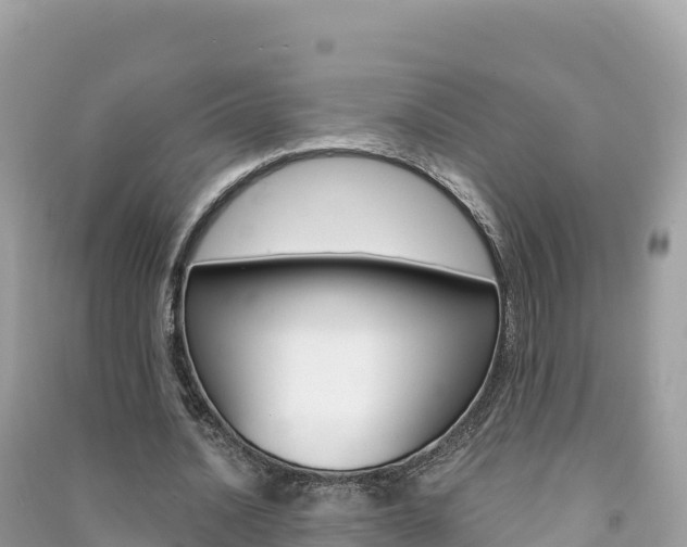 X0000091310628200708101109