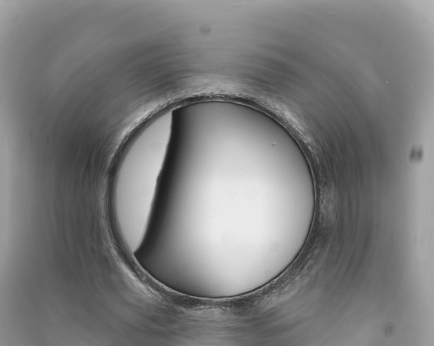 X0000091310629200708101109