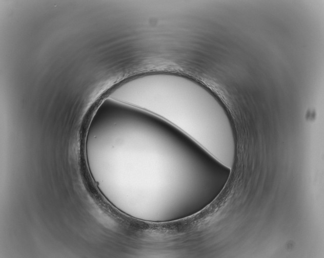 X0000091310630200708101109