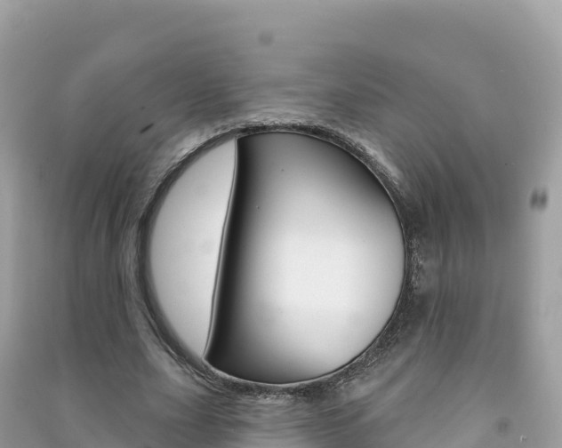 X0000091310631200708101109