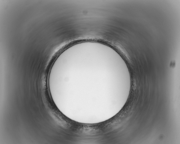 X0000091310632200708101109