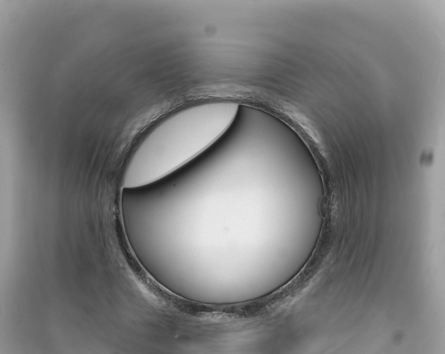 X0000091310633200708101109