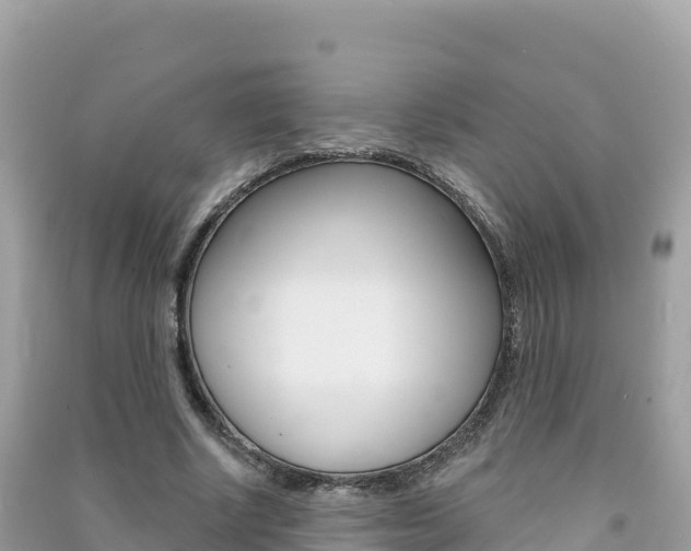 X0000091310634200708101109