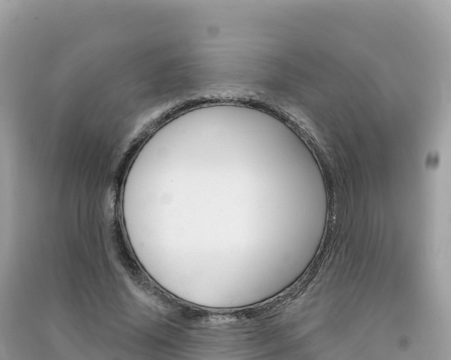 X0000091310636200708101109