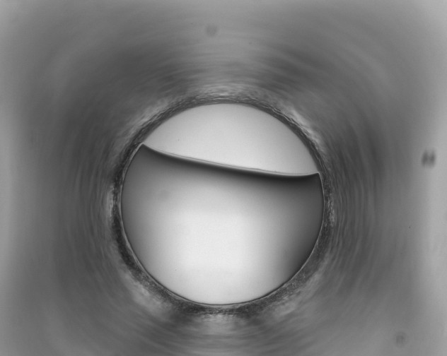 X0000091310637200708101109