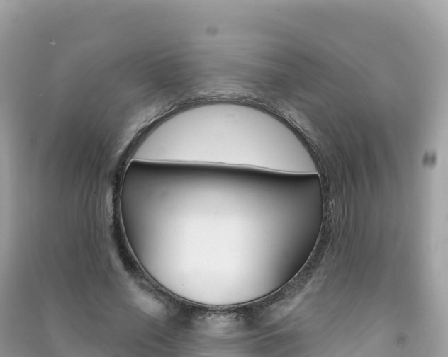 X0000091310638200708101109
