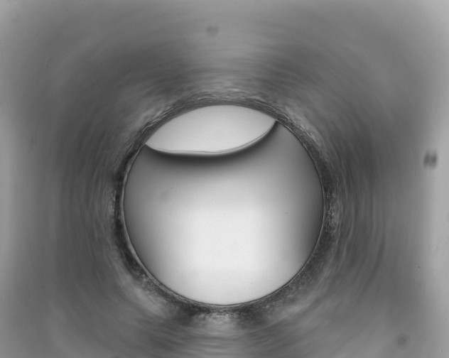 X0000091310639200708101109