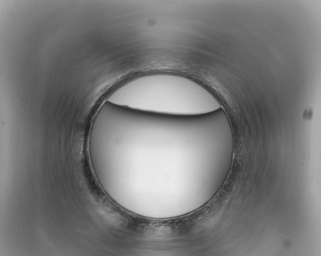 X0000091310640200708101109