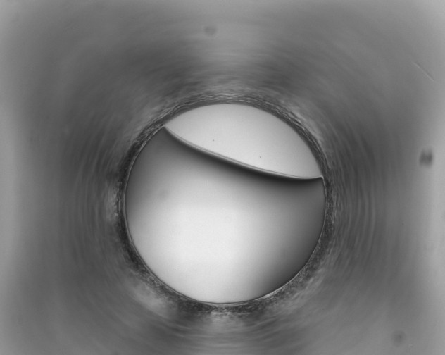 X0000091310641200708101109