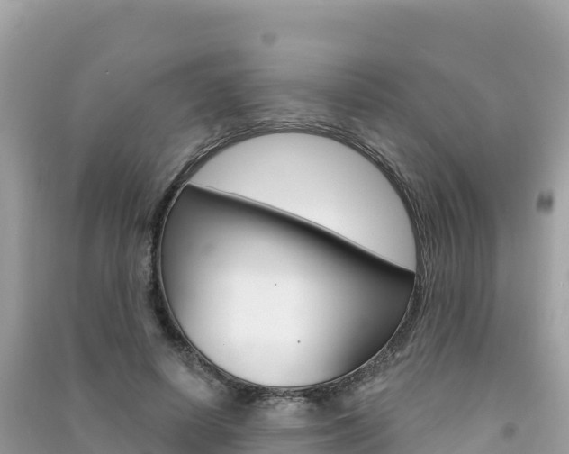 X0000091310642200708101109