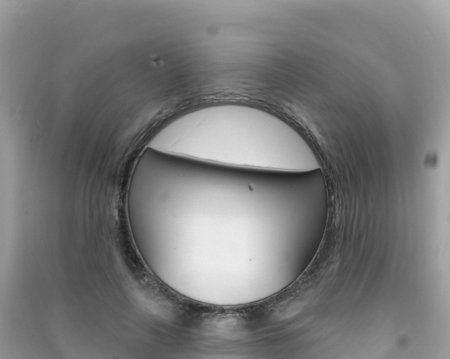X0000091310643200708101109