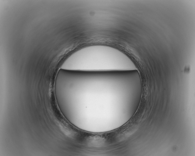 X0000091310644200708101109
