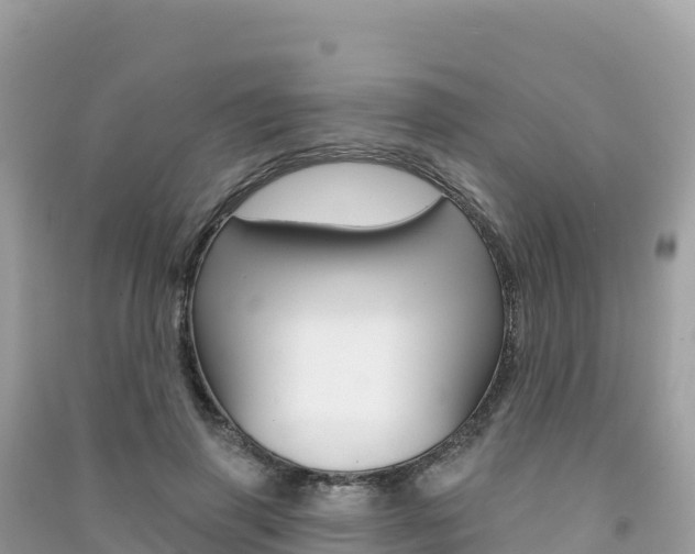 X0000091310645200708101109
