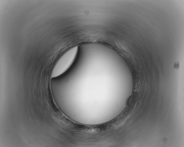 X0000091310646200708101109