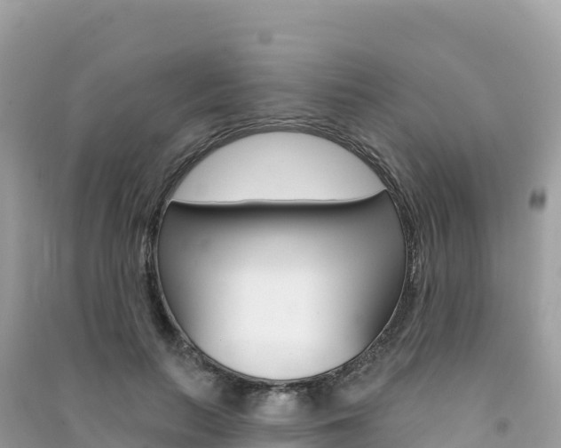 X0000091310647200708101109
