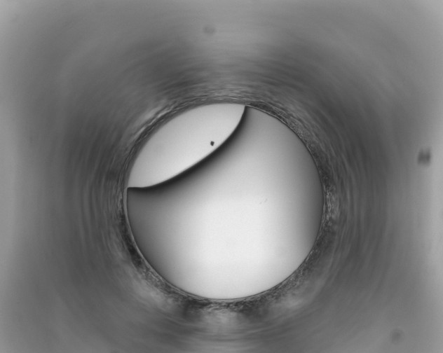 X0000091310648200708101109