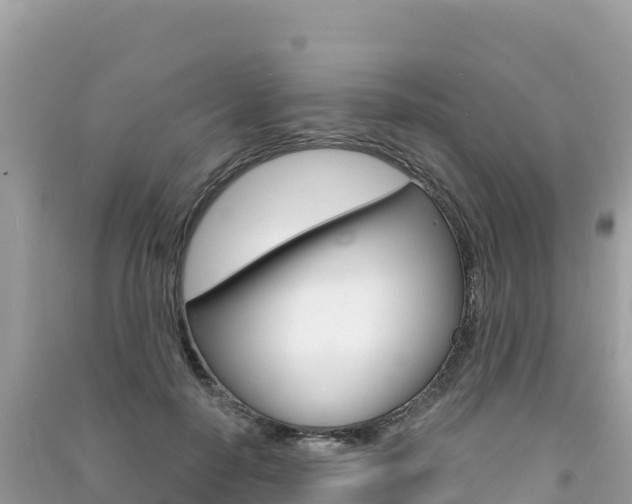 X0000091310650200708101109