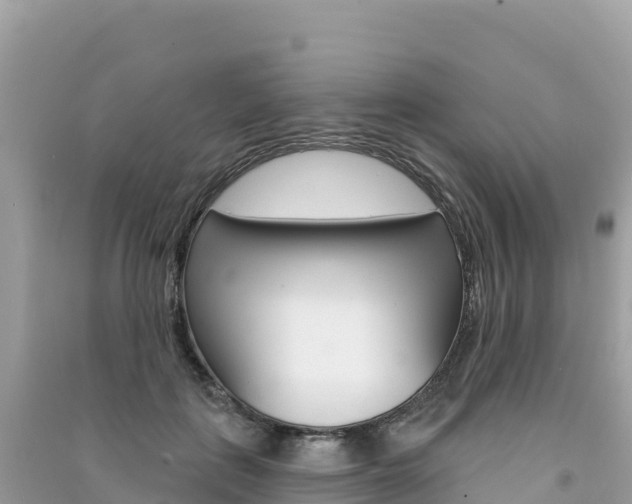 X0000091310651200708101109