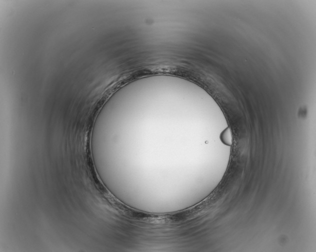 X0000091310652200708101109