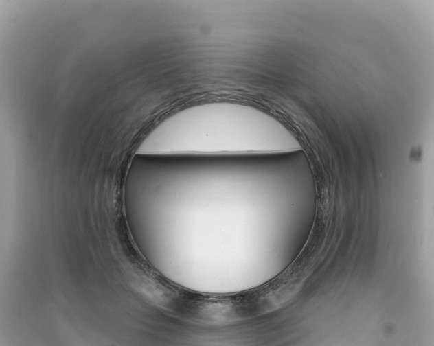 X0000091310653200708101109